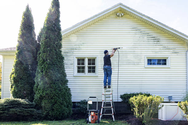 Best House Pressure Washing  in Baudette, MN