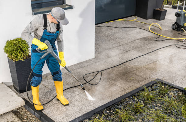 Best Best Pressure Washing Companies  in Baudette, MN
