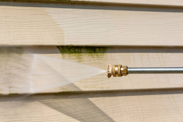 Best Affordable Pressure Washing  in Baudette, MN