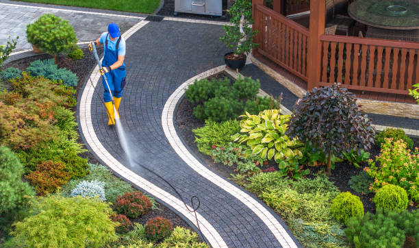 Best Exterior Home Cleaning  in Baudette, MN