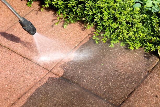 Best Power Washing Near Me  in Baudette, MN